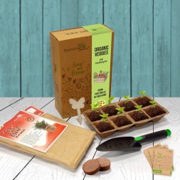 gardening kit for kids, kids, kids activities, kids activities ideas, parenthood, garden at home, home garden, diwali, festive, nude.in, nude, lifestyle, parenthood lifestyle