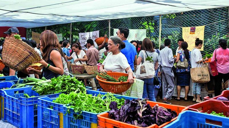 The Farmer’s Market, Bandra, Organic Market, Mumbai, Organic Foods, Margosamant.com