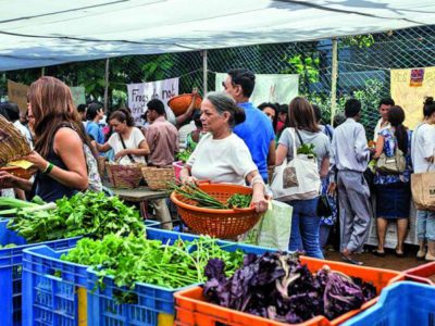 The Farmer’s Market, Bandra, Organic Market, Mumbai, Organic Foods, Margosamant.com